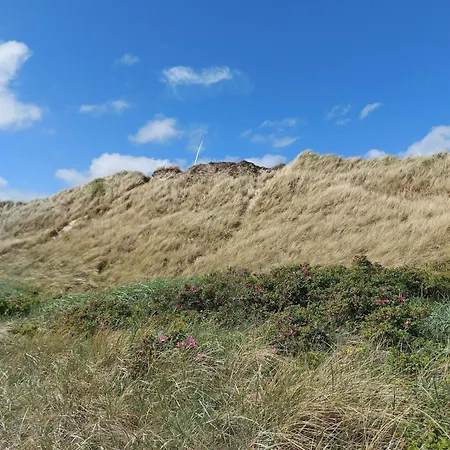 Tatil Evi Seaside Serenity In Hvide Sande-by Traum